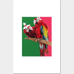 Christmas Macaw - Here Comes Santa Macaws! - on Red and Green Posters and Art